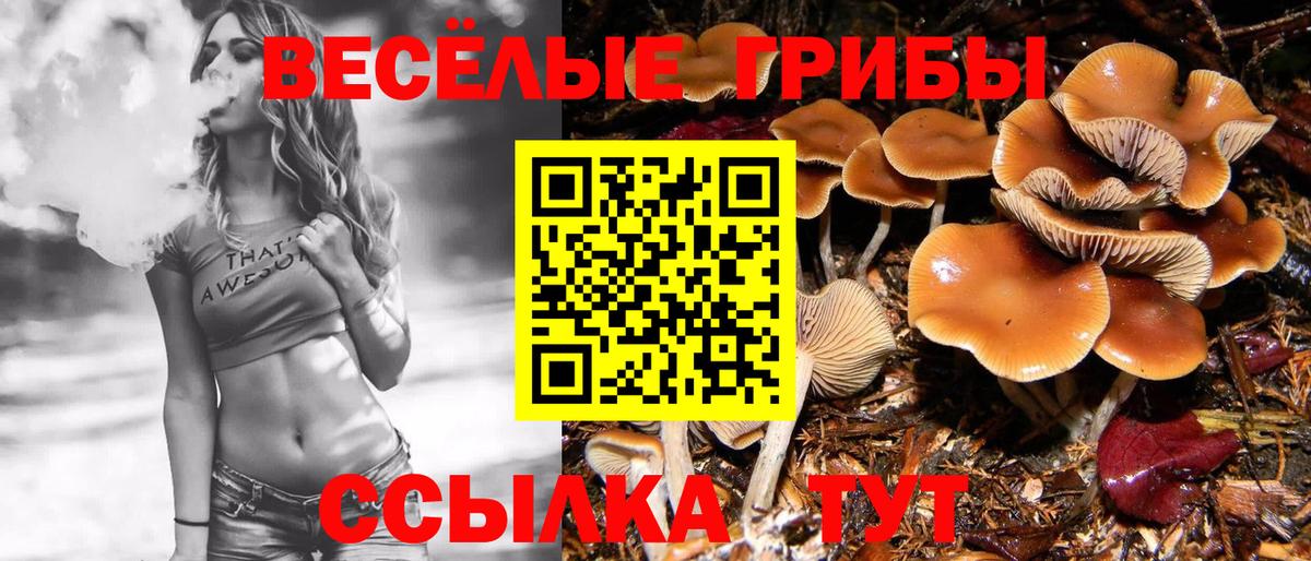 Валуйки  Псилоцибиновые грибы прущие грибы  Вход с VPN  купить закладку  Галлюциногенные грибы ЛСД 