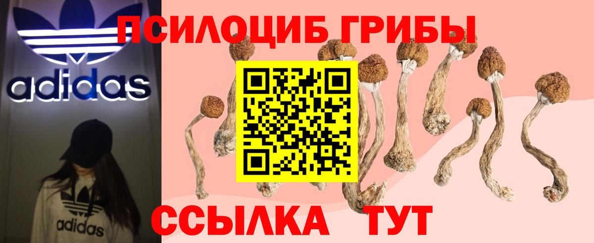Псилоцибиновые грибы Magic Shrooms Валуйки
